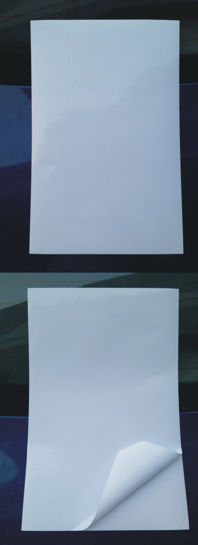 T2GBPgXldbXXXXXXXX_!!1778170808_副本